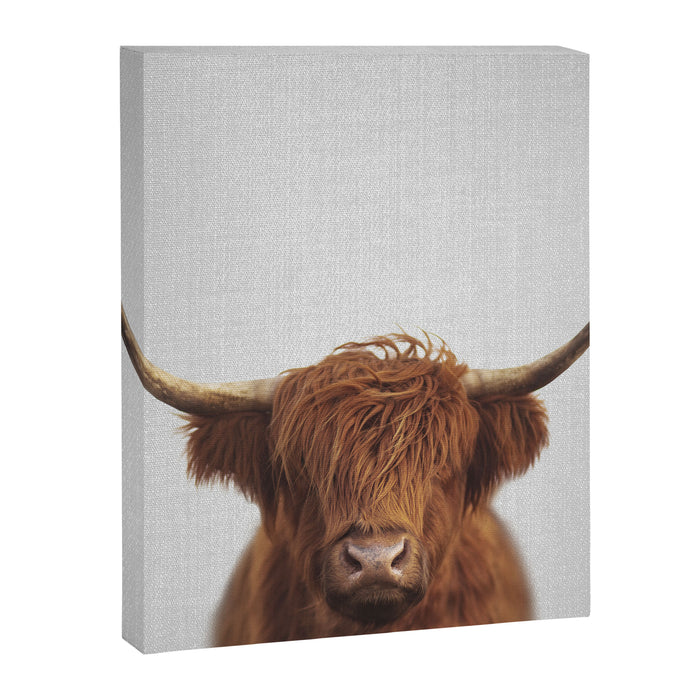 Highland Cow - Colorful Canvas Print Gallery Image 1