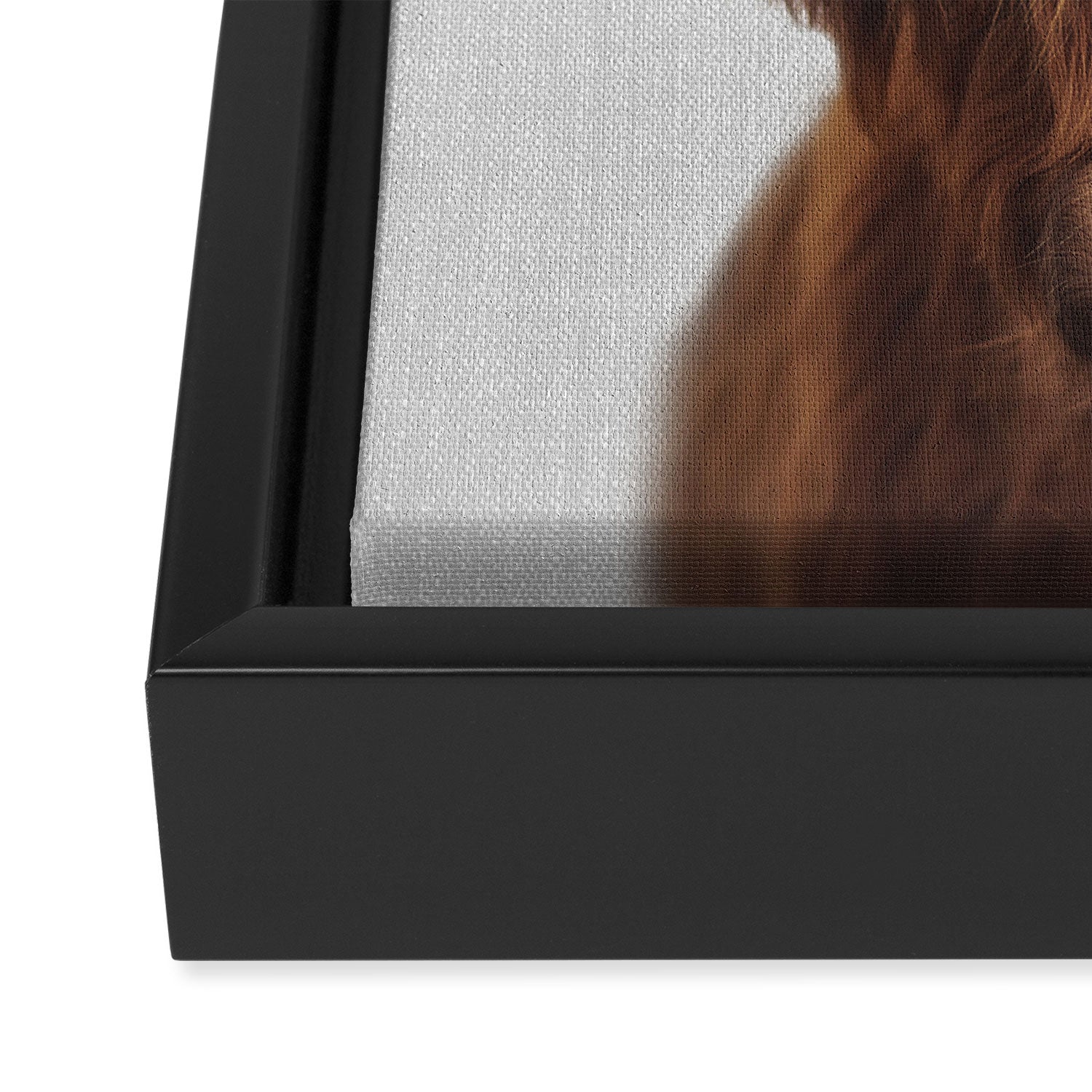 Highland Cow - Colorful Framed Canvas Print Gallery Image 3