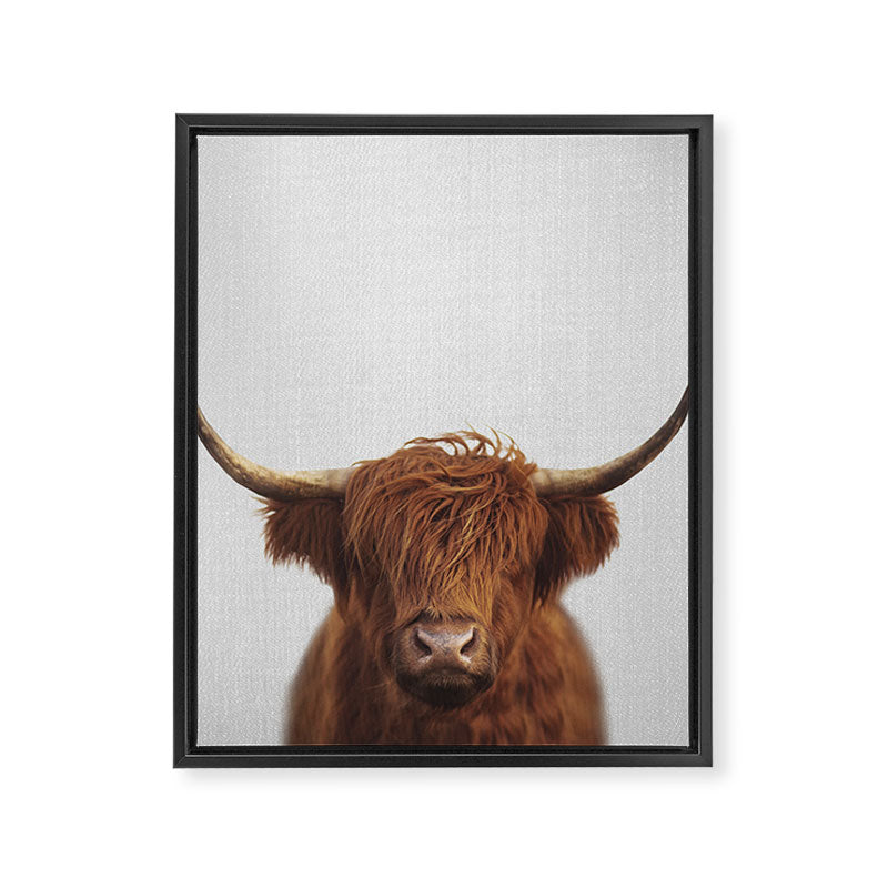 Highland Cow - Colorful Framed Canvas Print Gallery Image 8