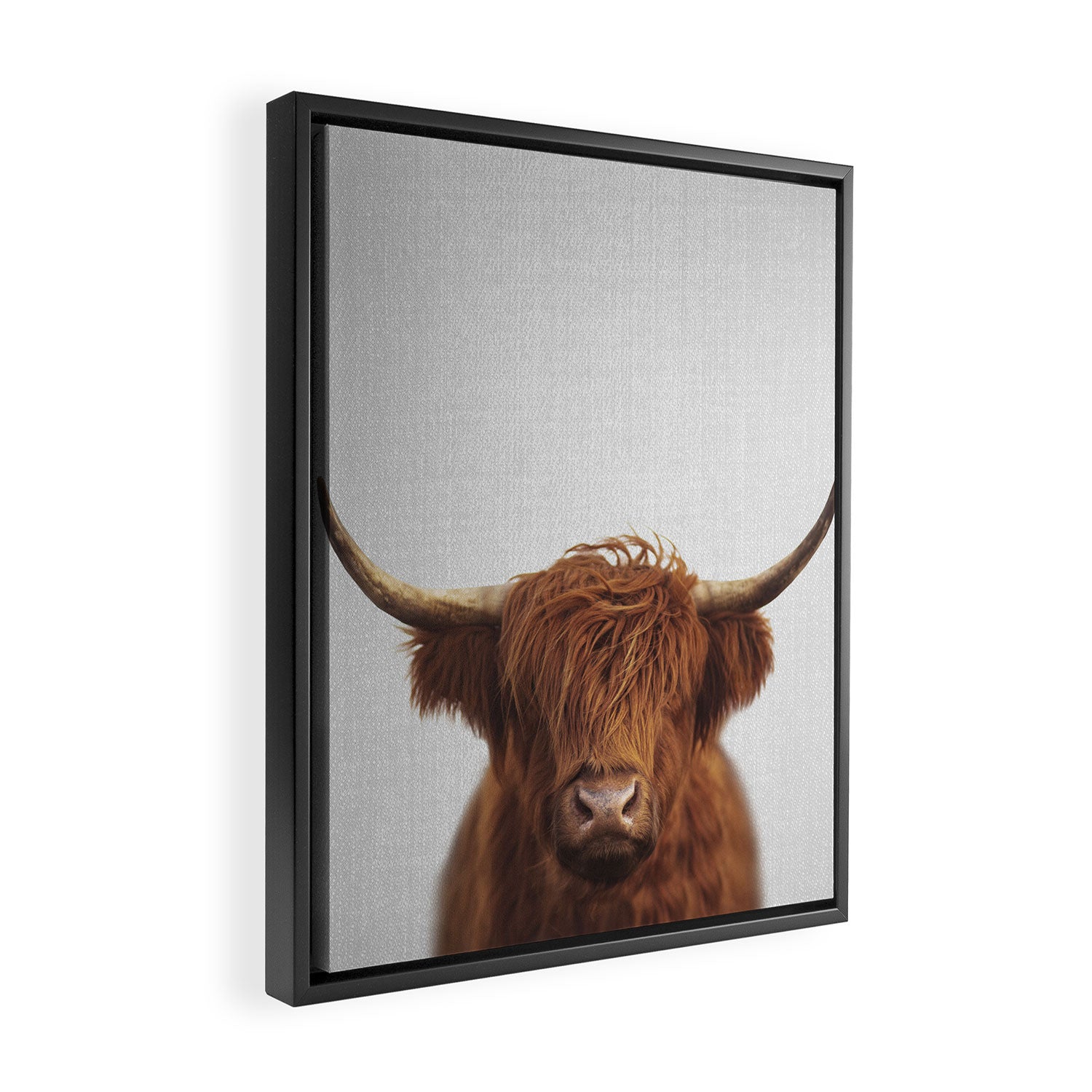 Highland Cow - Colorful Framed Canvas Print Gallery Image 2