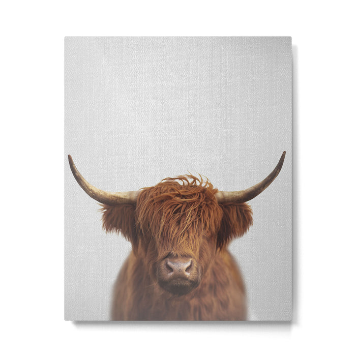 Highland Cow - Colorful Metal Print Gallery Image 1