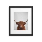 Highland Cow - Colorful Framed Art Print Gallery Image 4