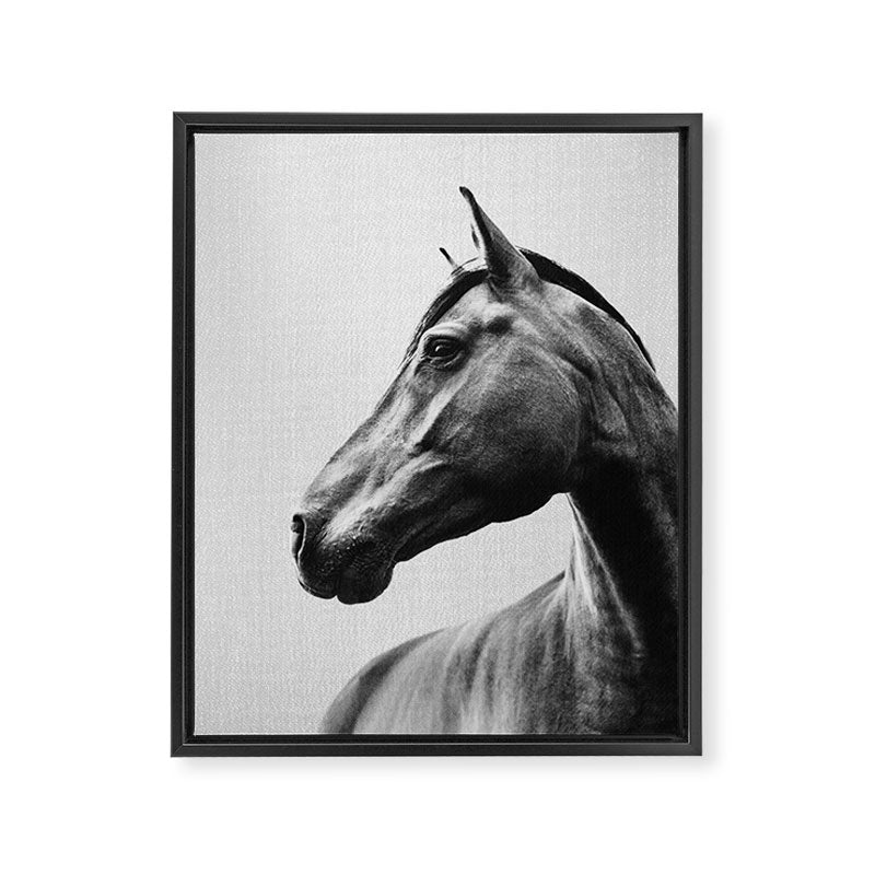 Horses - Black & White 2 Framed Canvas Print Gallery Image 6