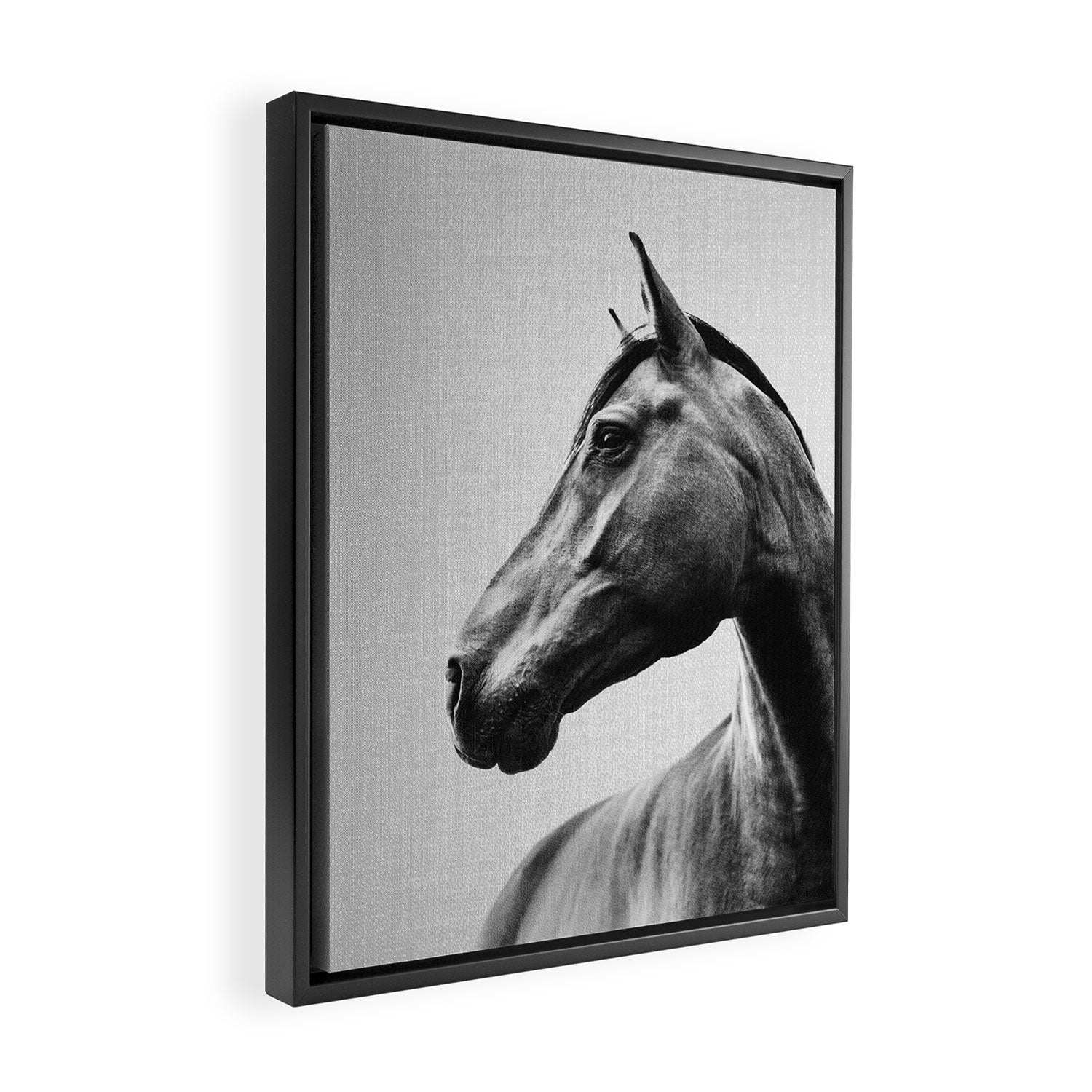 Horses - Black & White 2 Framed Canvas Print Gallery Image 2