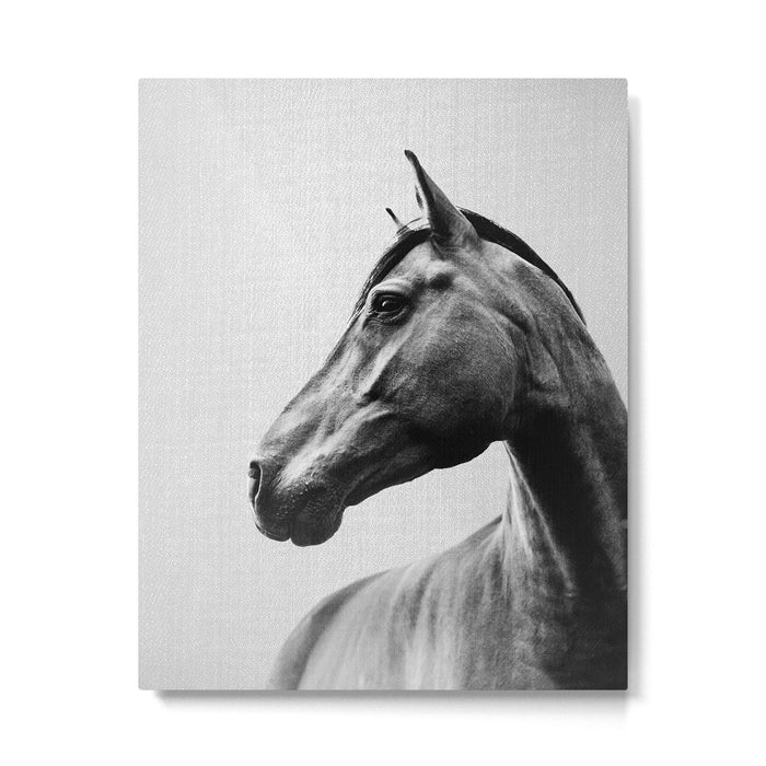 Horses - Black & White 2 Metal Print Gallery Image 1