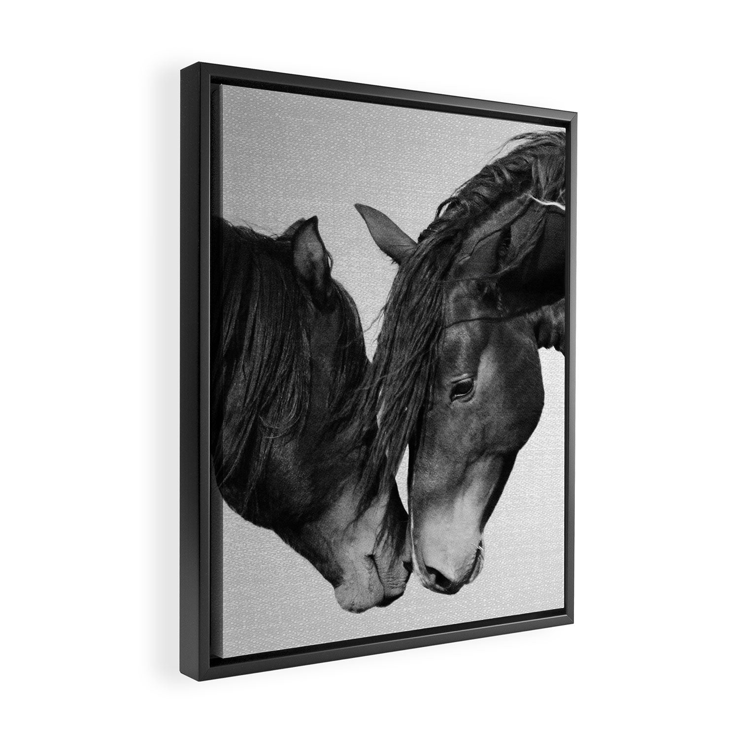 Horses - Black & White 4 Framed Canvas Print Gallery Image 2