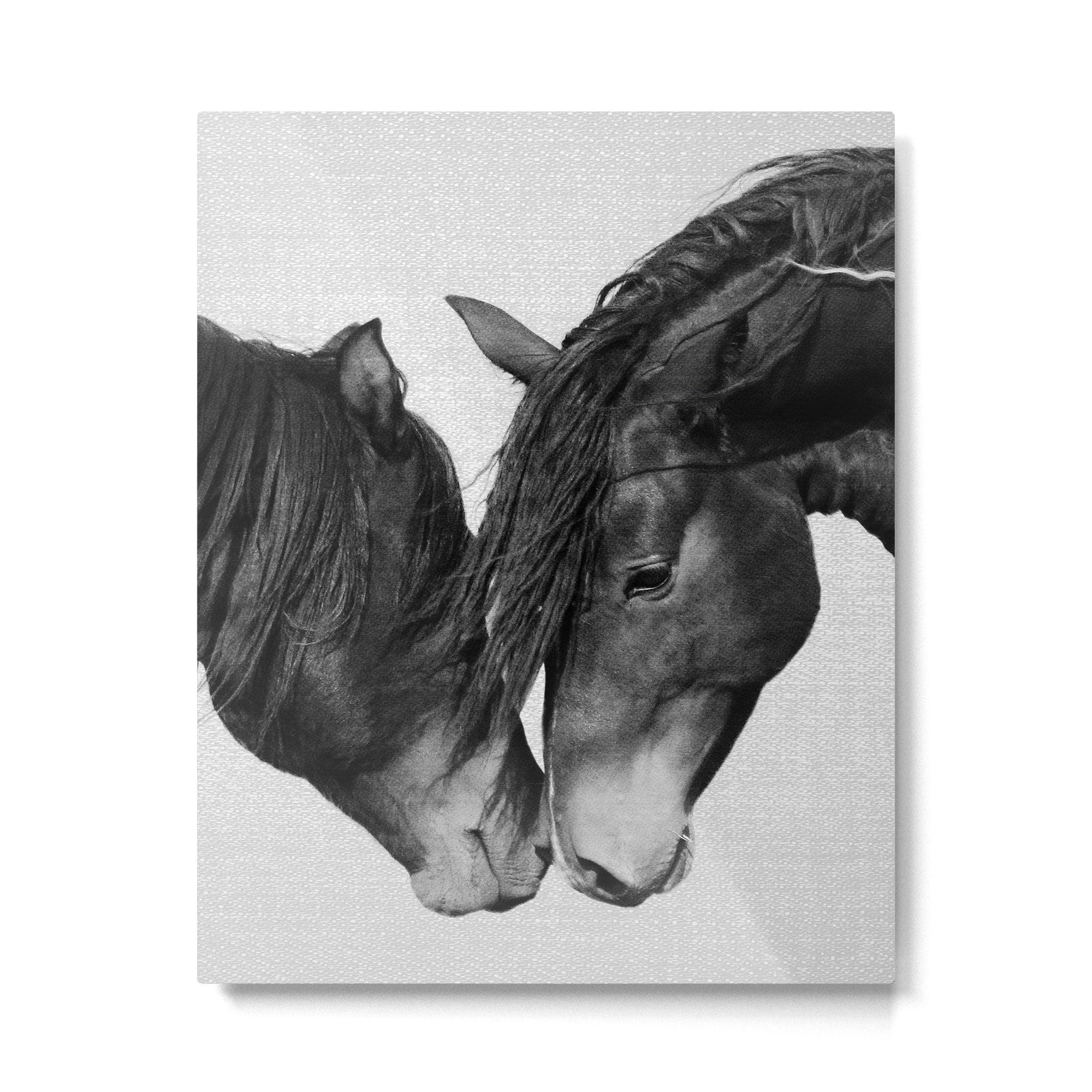 Horses - Black & White 4 Metal Print Gallery Image 4