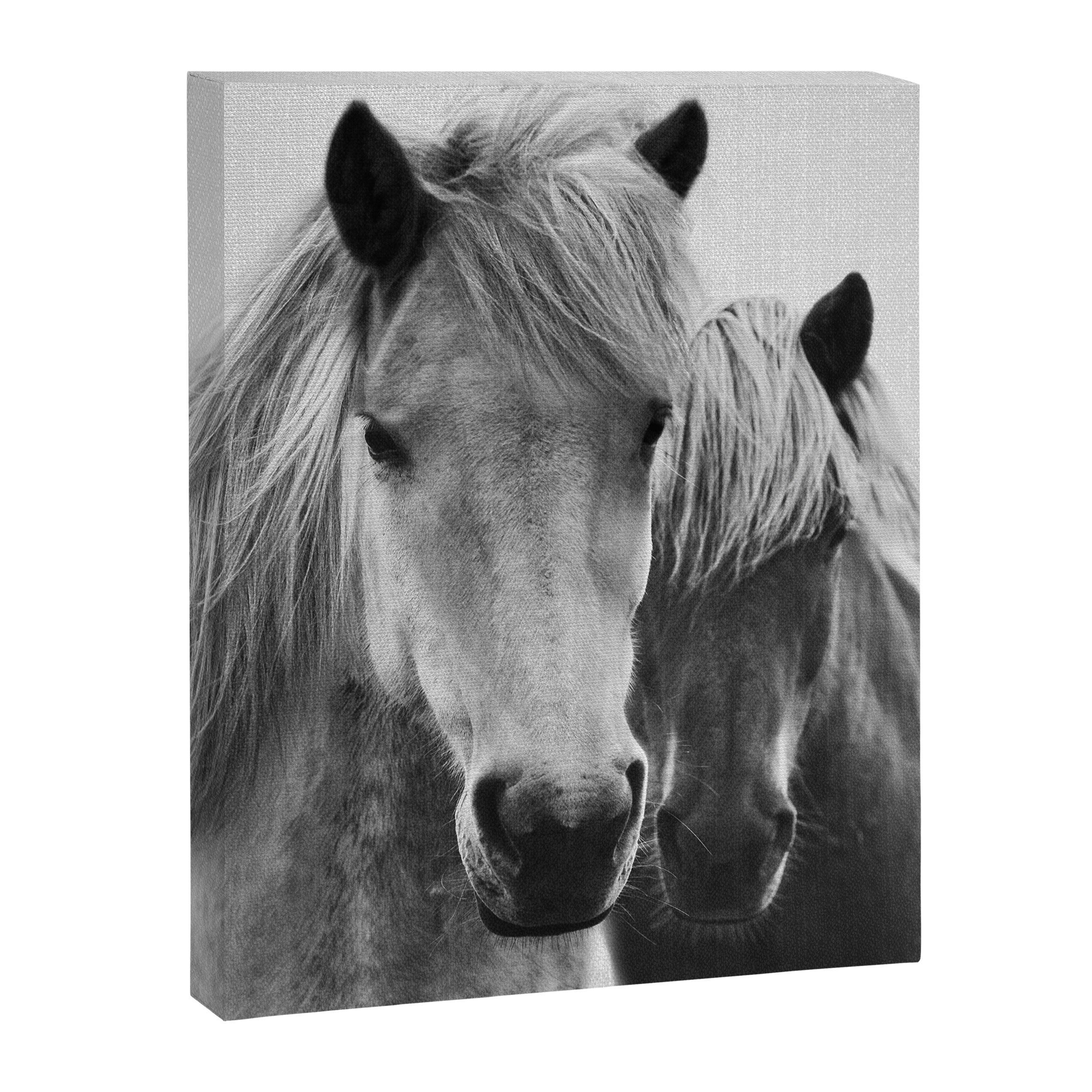 Horses - Black & White 7 Canvas Print Gallery Image 6
