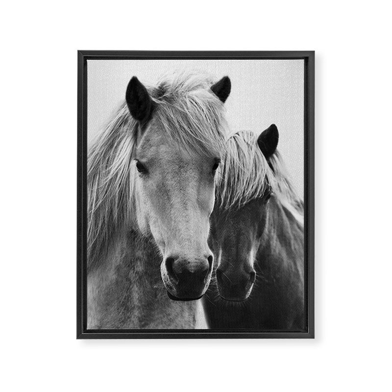 Horses - Black & White 7 Framed Canvas Print Gallery Image 6