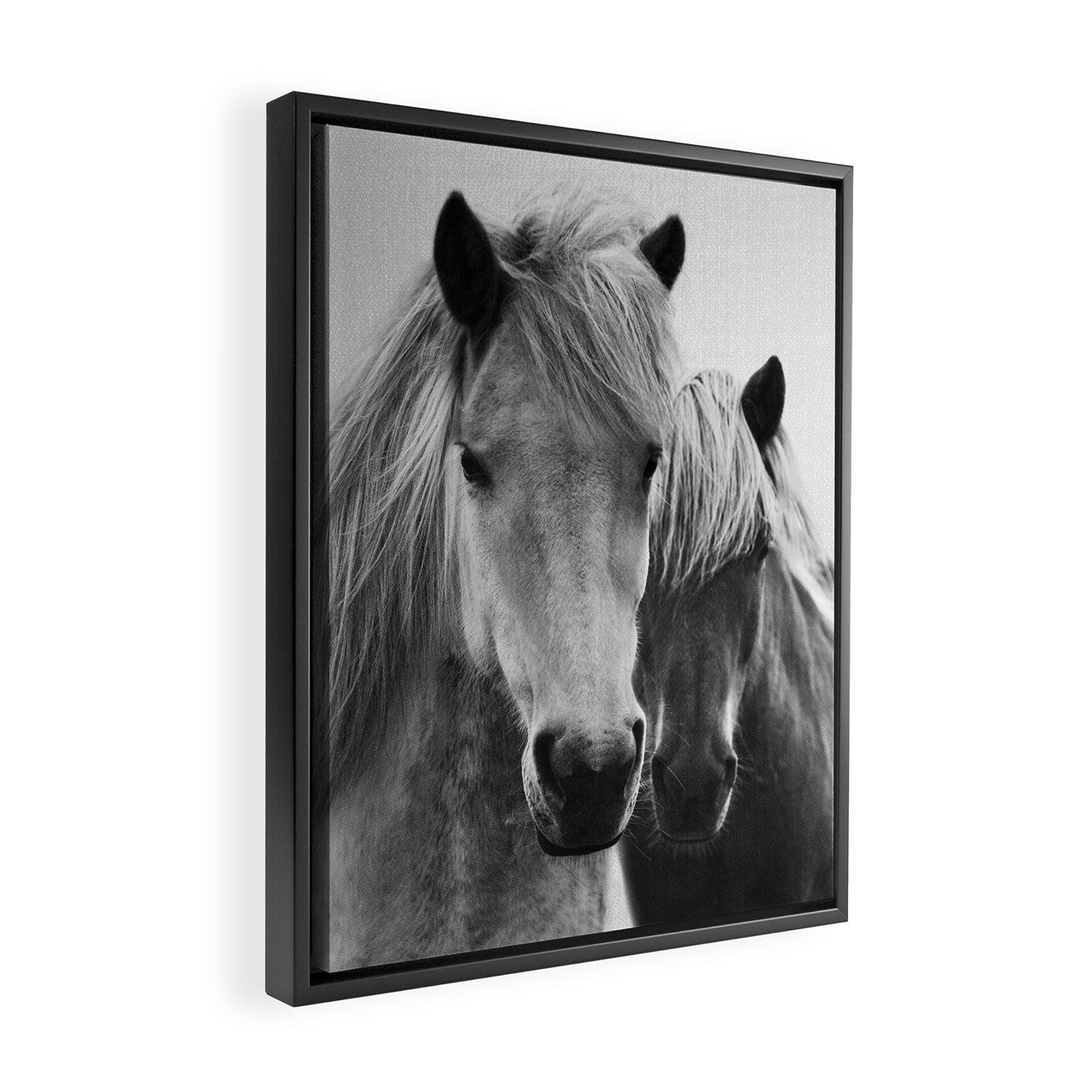 Horses - Black & White 7 Framed Canvas Print Gallery Image 2