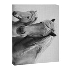 Horses - Black & White Canvas Print Gallery Image 6