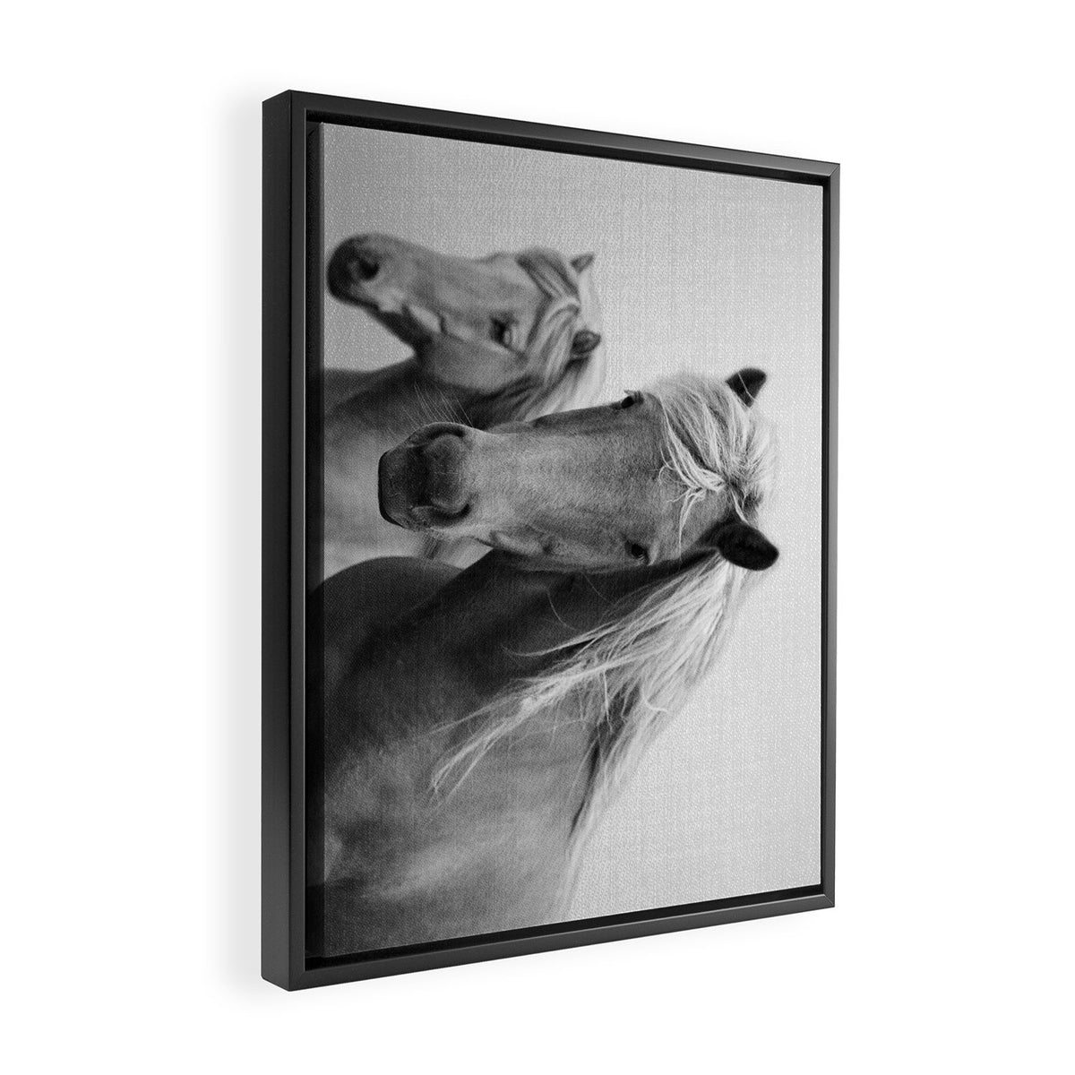 Horses - Black & White Framed Canvas Print Gallery Image 2