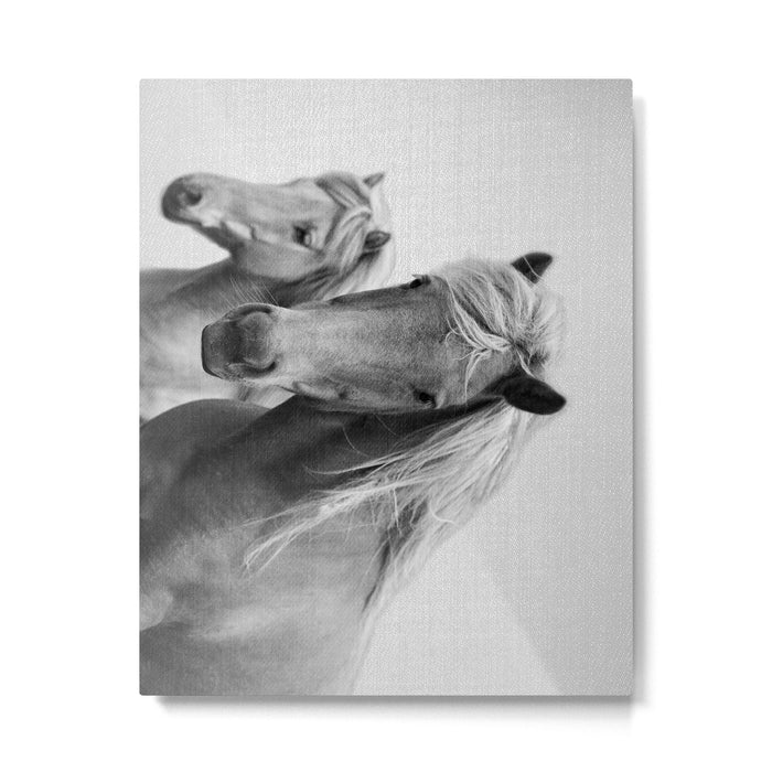 Horses - Black & White Metal Print Gallery Image 1