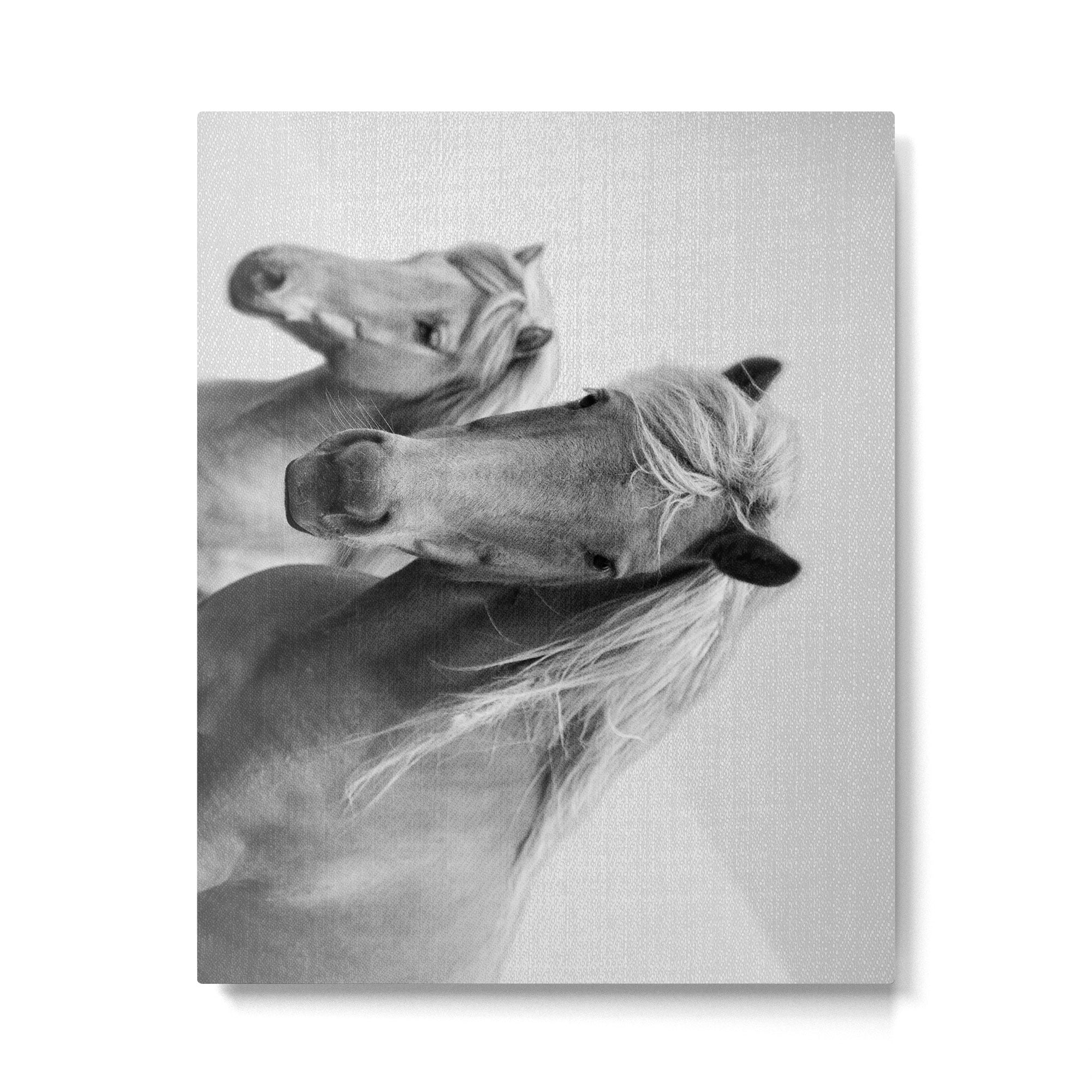 Horses - Black & White Metal Print Gallery Image 4