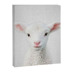 Lamb - Colorful Canvas Print Gallery Image 8
