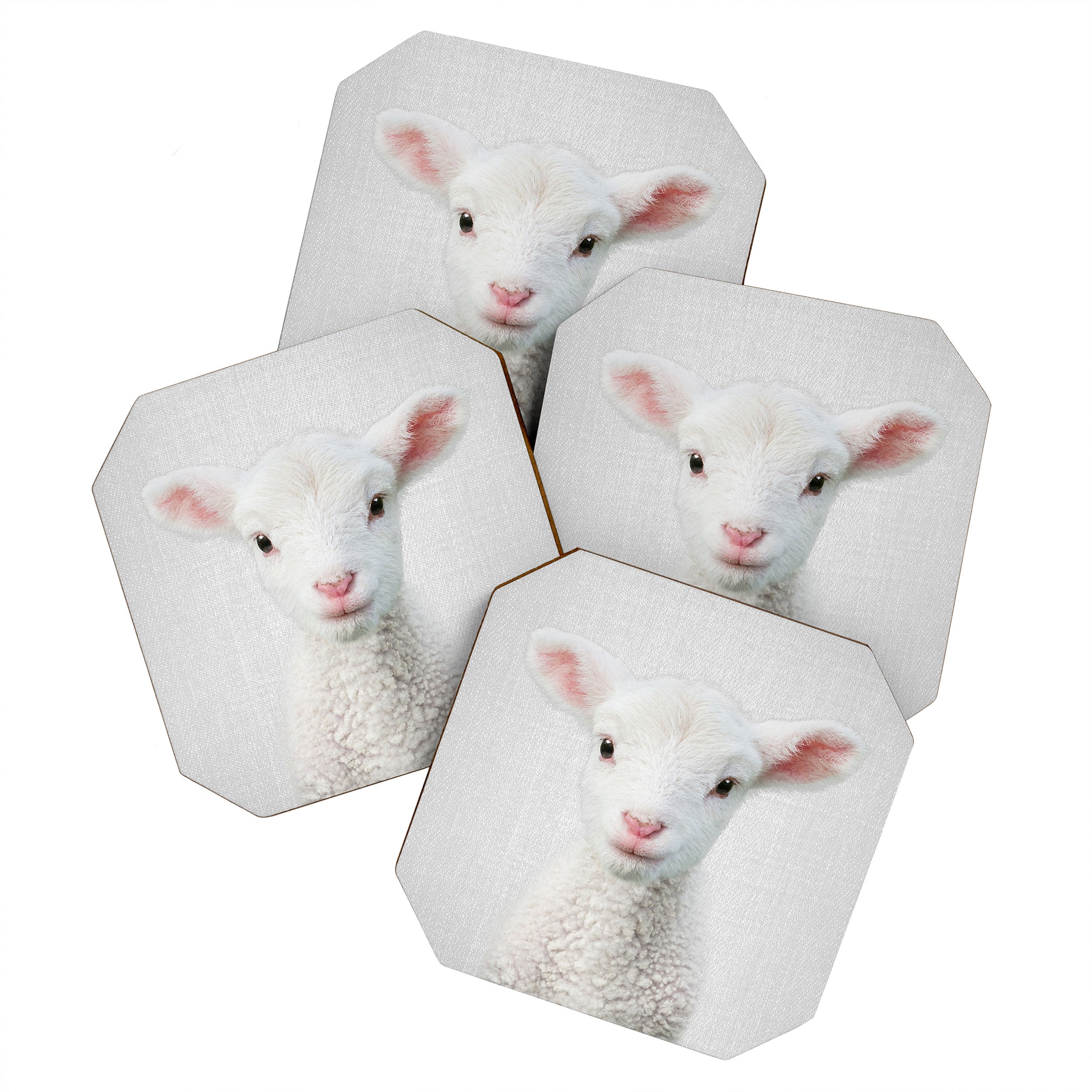 Lamb - Colorful Coaster Gallery Image 1