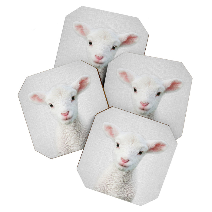 Lamb - Colorful Coaster Gallery Image 1