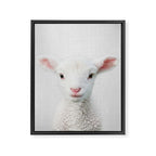 Lamb - Colorful Framed Canvas Print Gallery Image 8