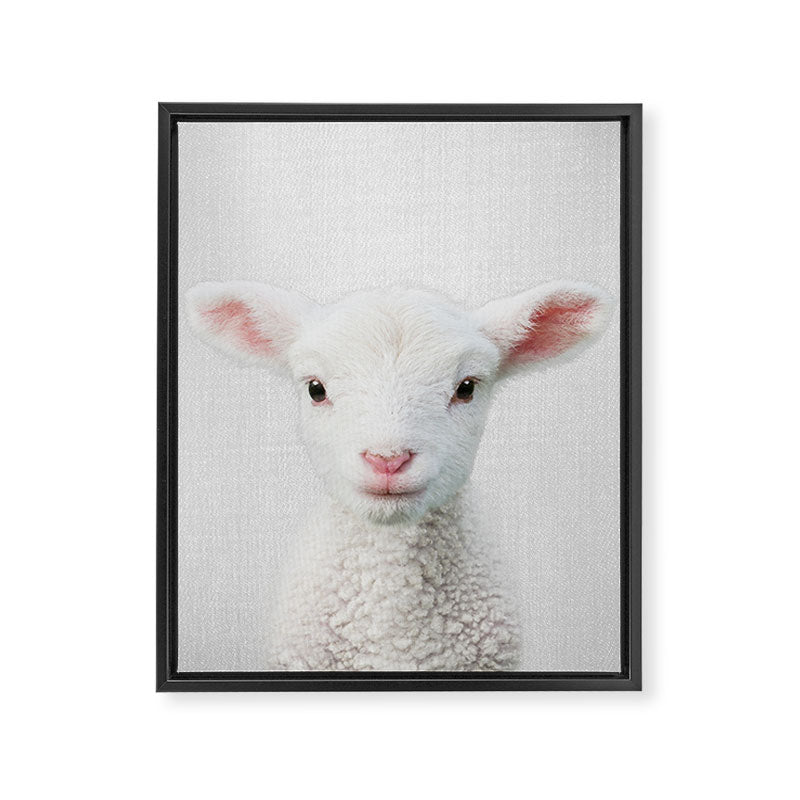 Lamb - Colorful Framed Canvas Print Gallery Image 8