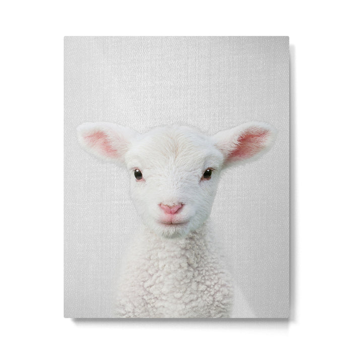 Lamb - Colorful Metal Print Gallery Image 1
