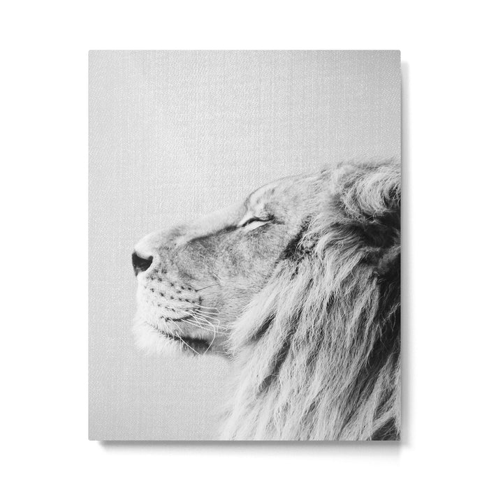 Lion Portrait - Black & White Metal Print Gallery Image 1