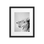 Lion Portrait - Black & White Framed Art Print Gallery Image 4