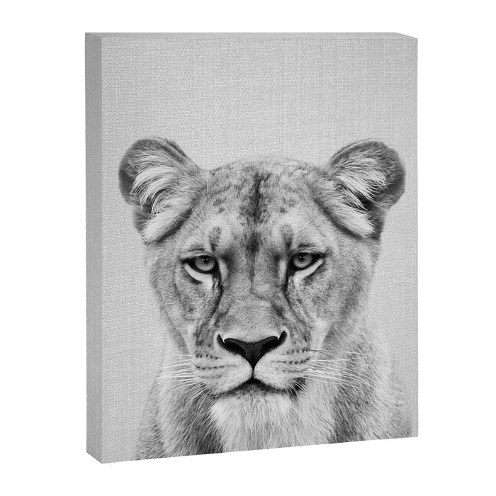 Lioness - Black & White Canvas Print Gallery Image 1