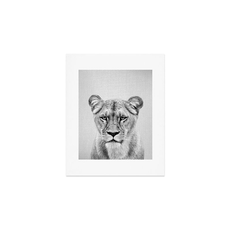 Lioness - Black & White Art Print Gallery Image 1