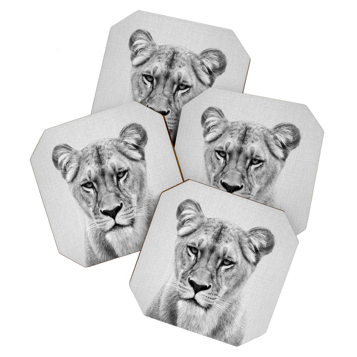 Lioness - Black & White Coaster Gallery Image 1