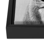 Lioness - Black & White Framed Canvas Print Gallery Image 3