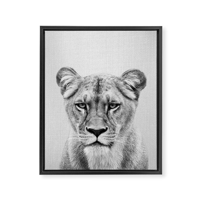 Lioness - Black & White Framed Canvas Print Gallery Image 1