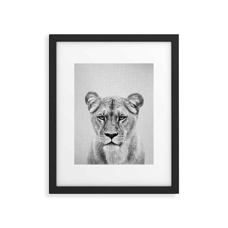Lioness - Black & White Framed Art Print Gallery Image 4