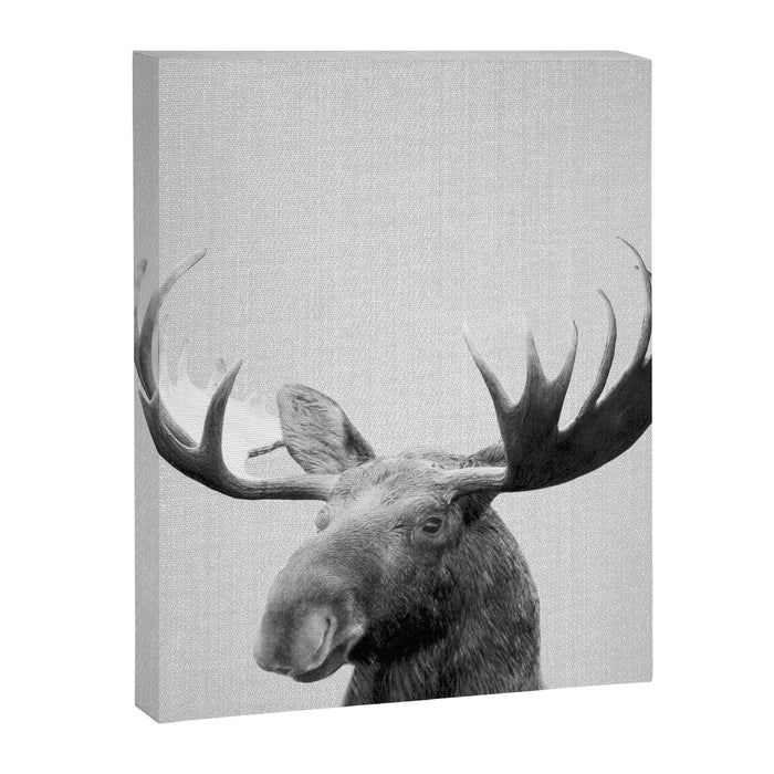 Moose - Black & White Canvas Print Gallery Image 1