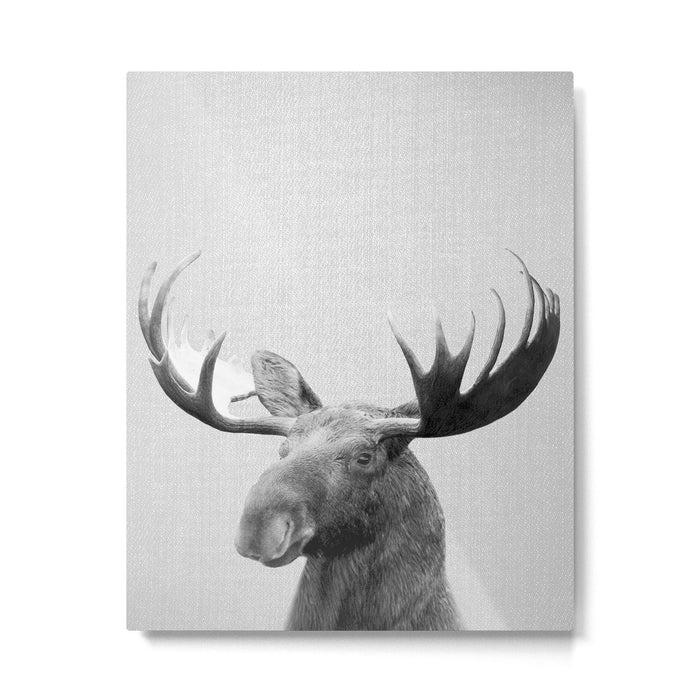 Moose - Black & White Metal Print Gallery Image 1