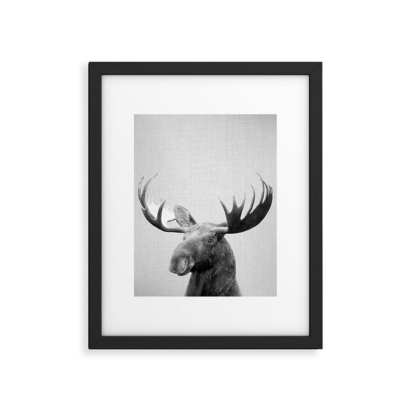 Moose - Black & White Framed Art Print