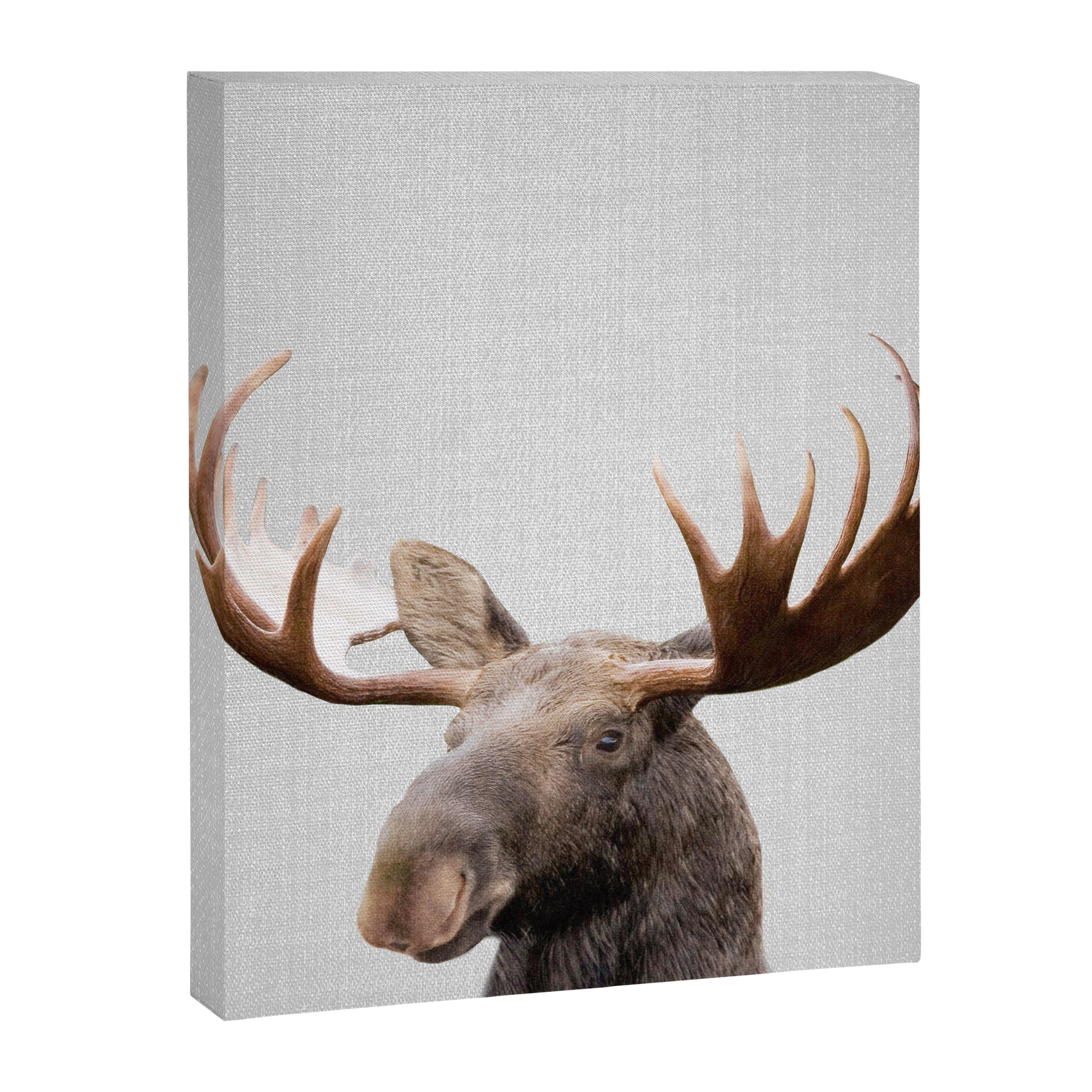 Moose - Colorful Canvas Print Gallery Image 8