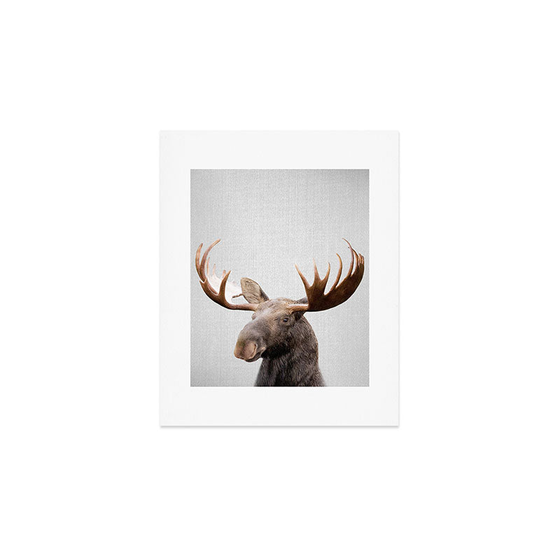 Moose - Colorful Art Print Gallery Image 1