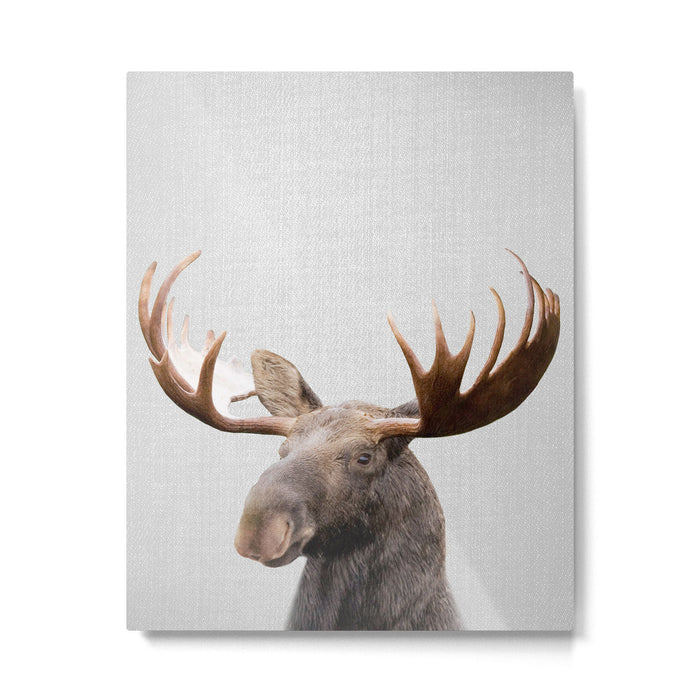 Moose - Colorful Metal Print Gallery Image 1