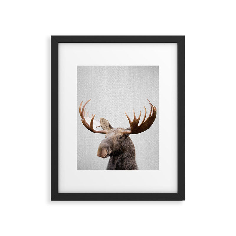 Moose - Colorful Framed Art Print Gallery Image 6