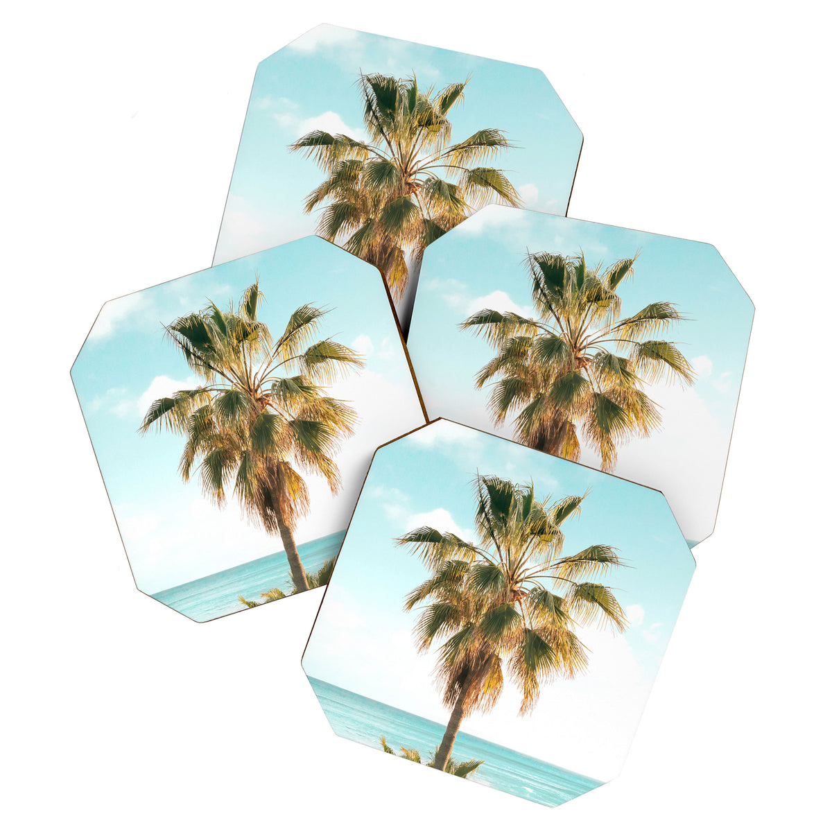 Ocean Palms Coaster Gallery Image 1
