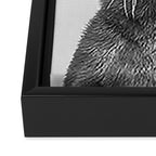 Otter - Black & White Framed Canvas Print Gallery Image 3