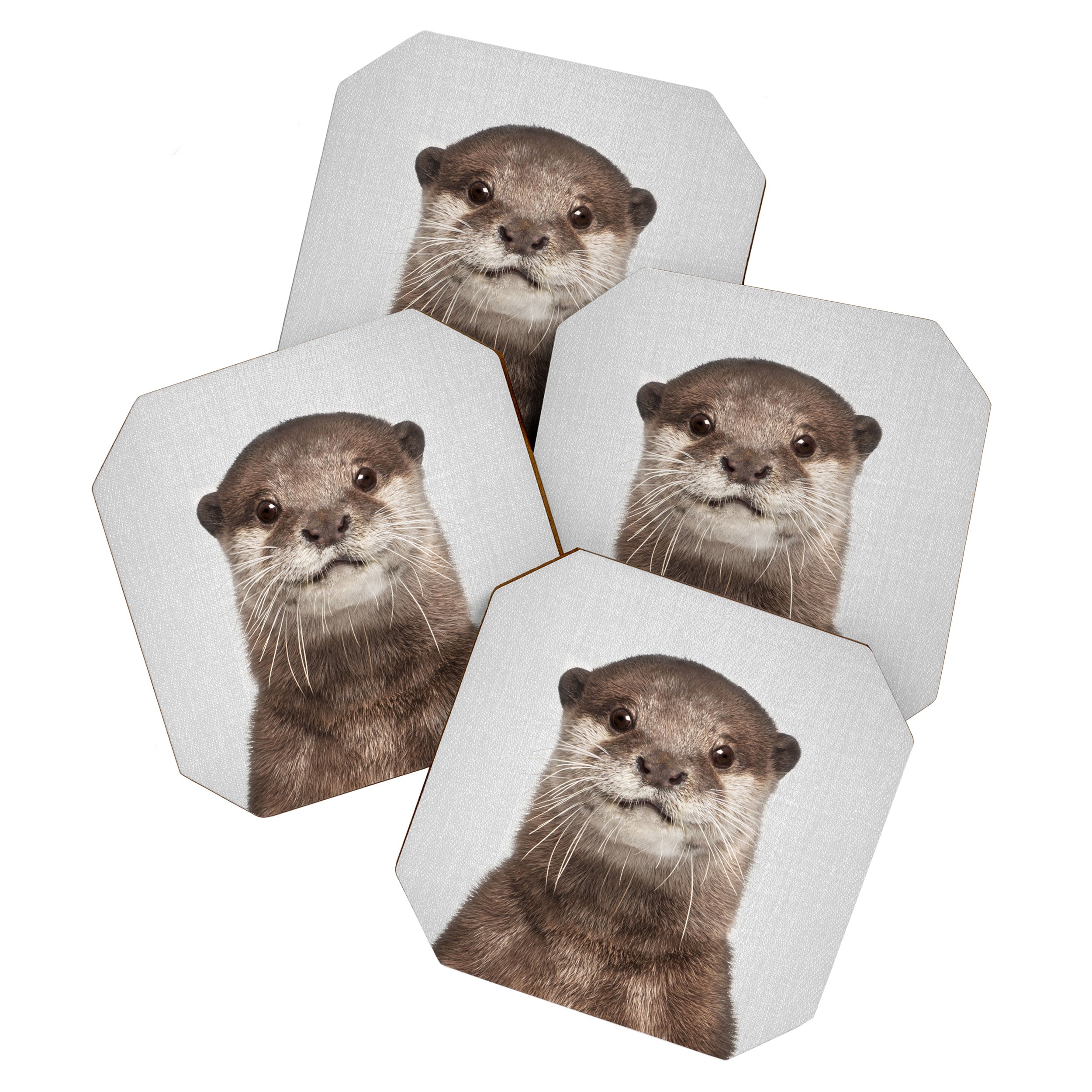 Otter - Colorful Coaster Gallery Image 1
