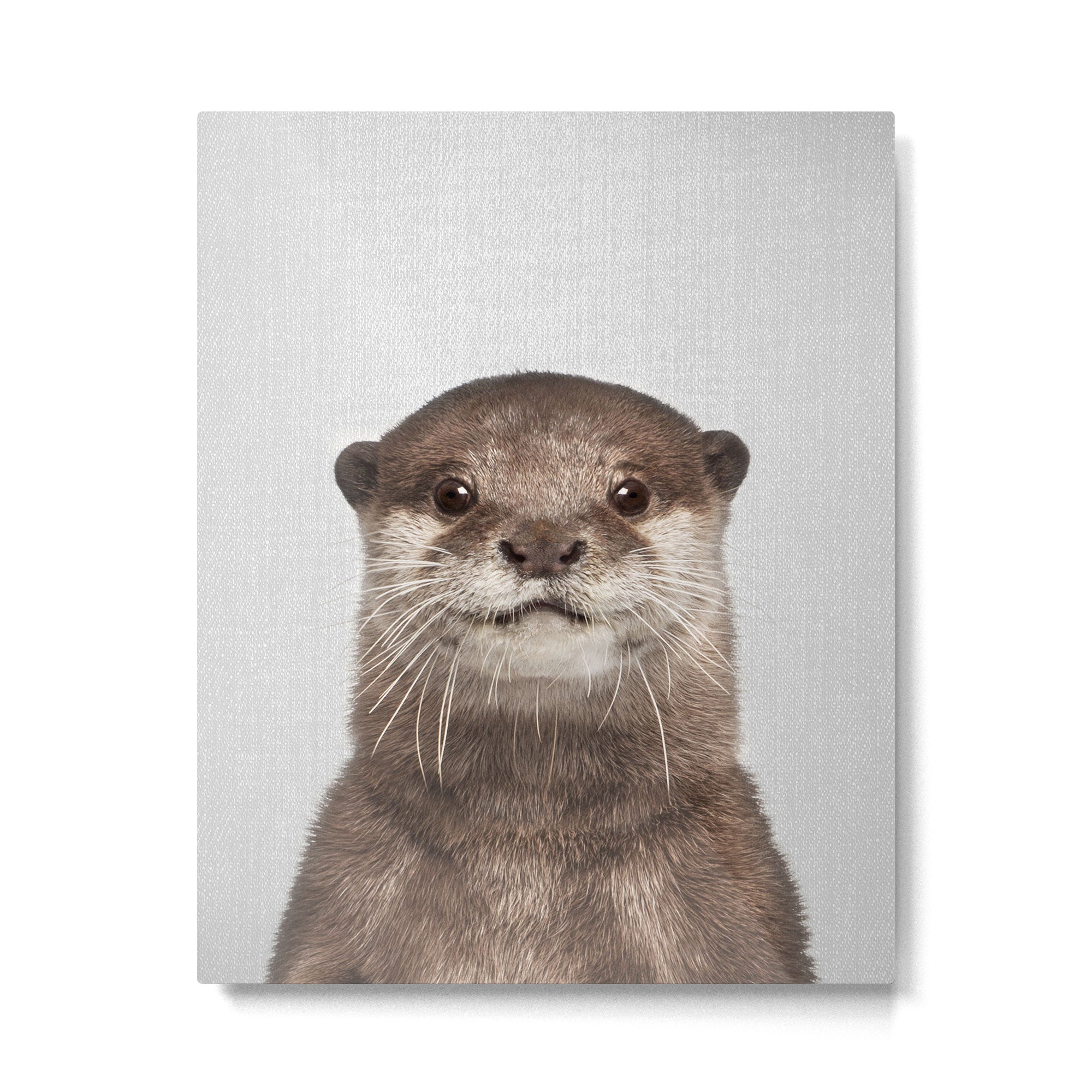 Otter - Colorful Metal Print Gallery Image 6