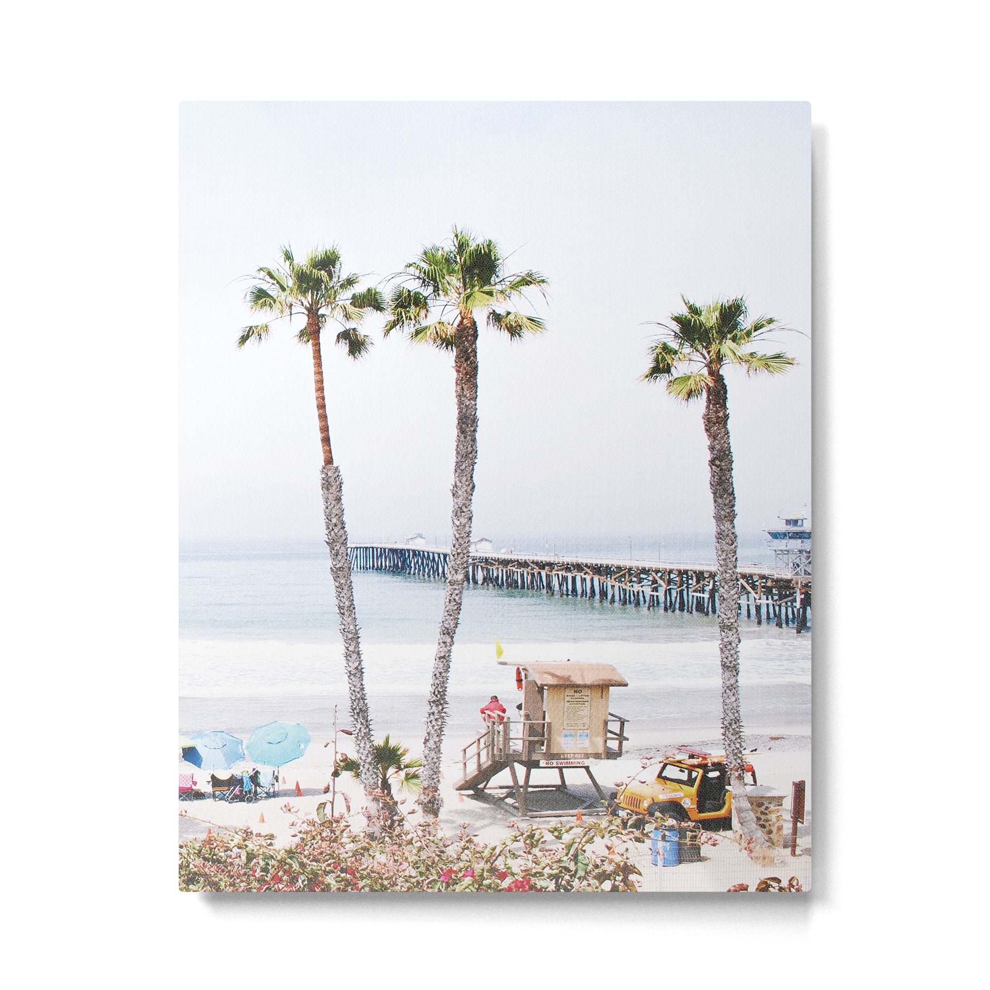 Palm Beach Metal Print Gallery Image 4