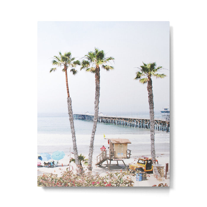 Palm Beach Metal Print Gallery Image 1