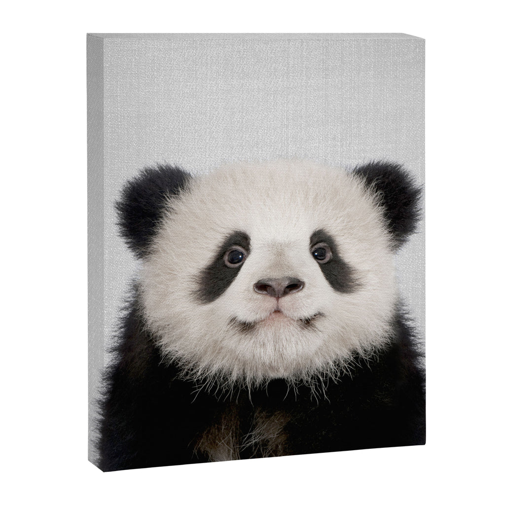 Panda Bear - Colorful Canvas Print Gallery Image 8