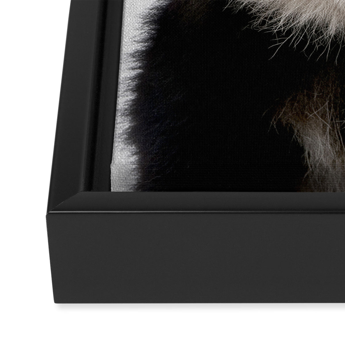Panda Bear - Colorful Framed Canvas Print Gallery Image 3
