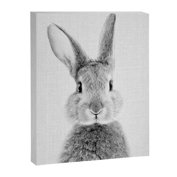 Rabbit - Black & White Canvas Print Gallery Image 1