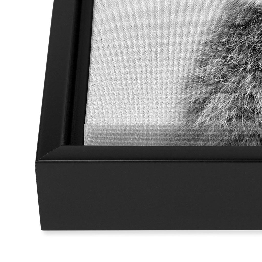 Rabbit - Black & White Framed Canvas Print Gallery Image 3