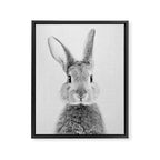 Rabbit - Black & White Framed Canvas Print Gallery Image 8